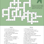 A Fun And Free Baby Shower Crossword Puzzle