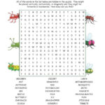 Insect Word Search Puzzle Kids Word Search Word Puzzles