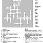 Crossword Puzzles For 5th Graders Activity Shelter