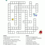 Insects Crossword For Kids