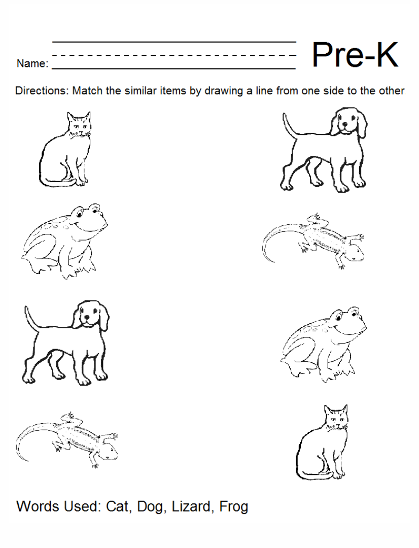 Pre K Worksheets