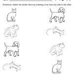 6 Best Pre K Worksheets Packets Printable Printablee