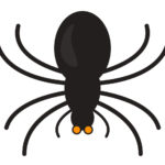 6 Best Printable Spider Template Printablee