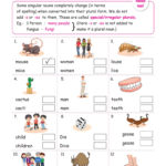 English Worksheets Grade 1 Chapter Nouns Key2practice