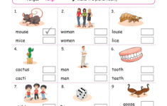 English Worksheets Grade 1 Chapter Nouns Key2practice