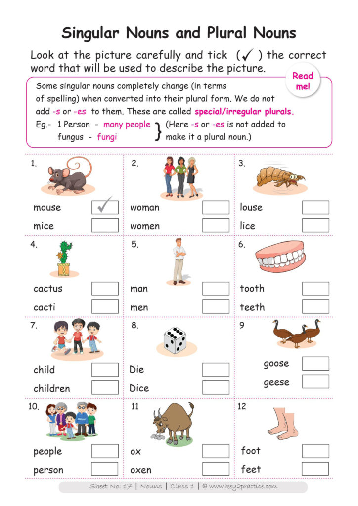 English Worksheets Grade 1 Chapter Nouns Key2practice