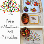 Free Montessori Inspired Fall Printables