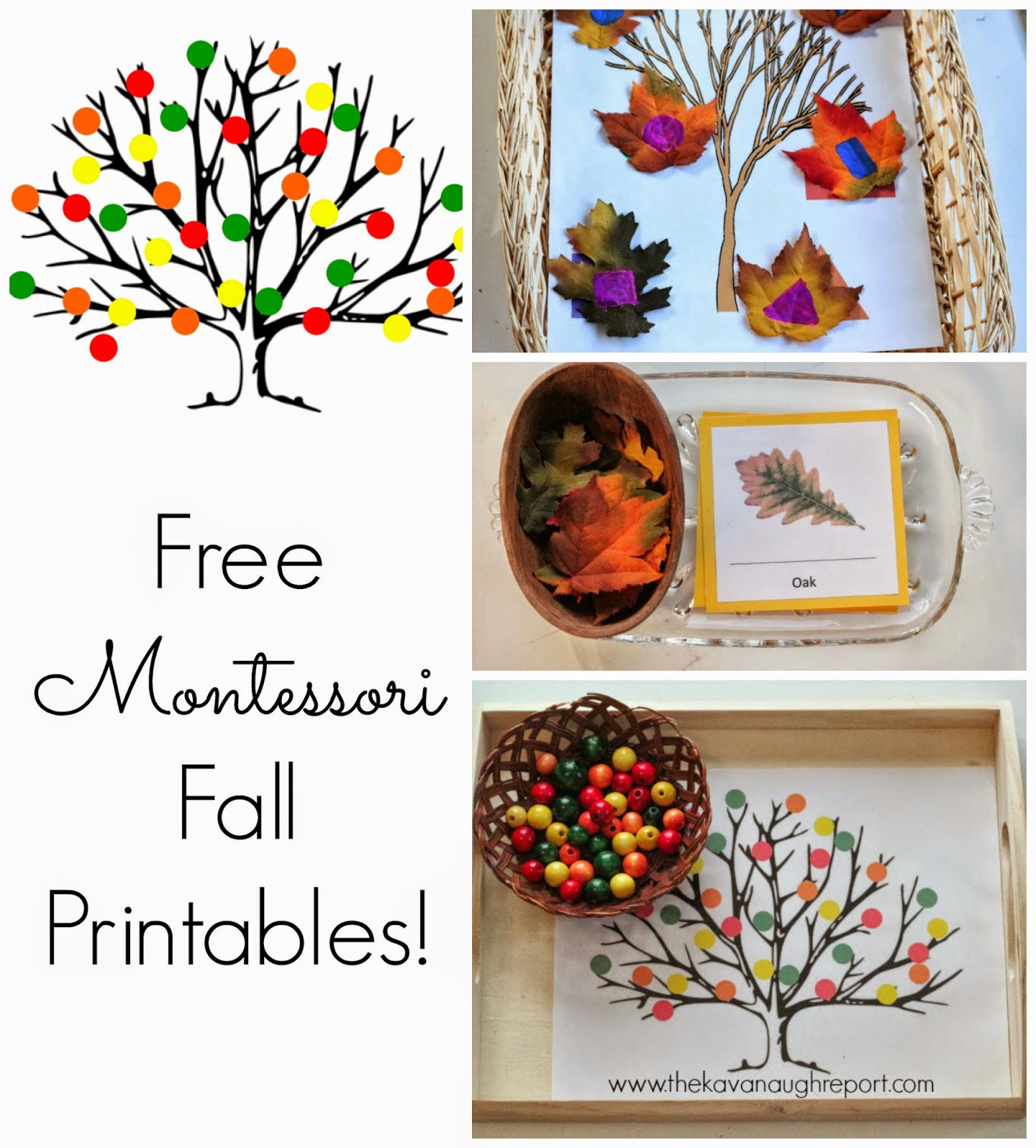 Montessori Printables