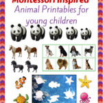 Free Pre Reading Printables Montessori Nature