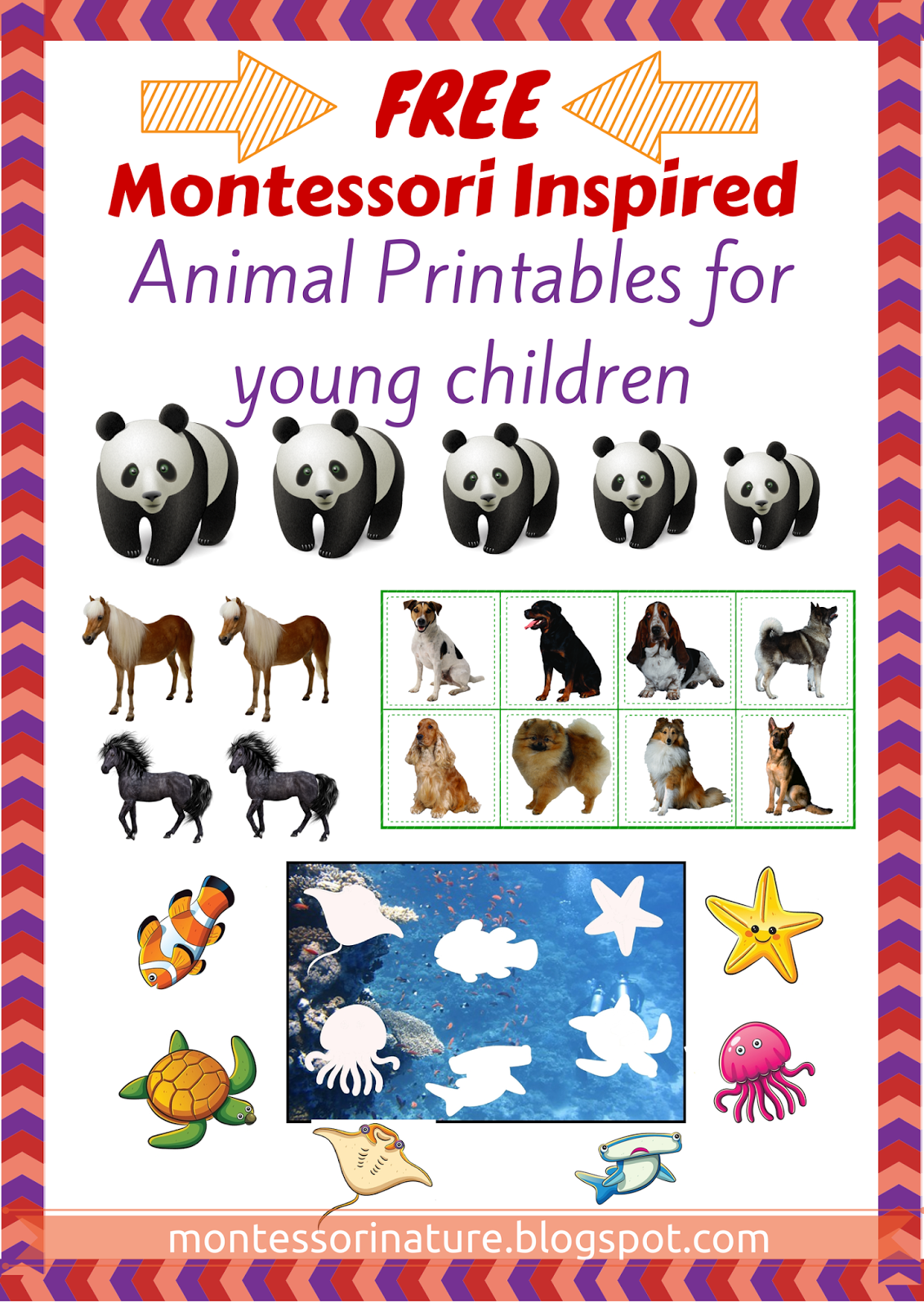 Montessori Printables