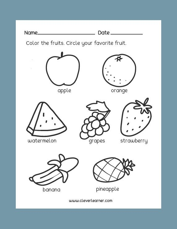 Preschool Science Worksheets