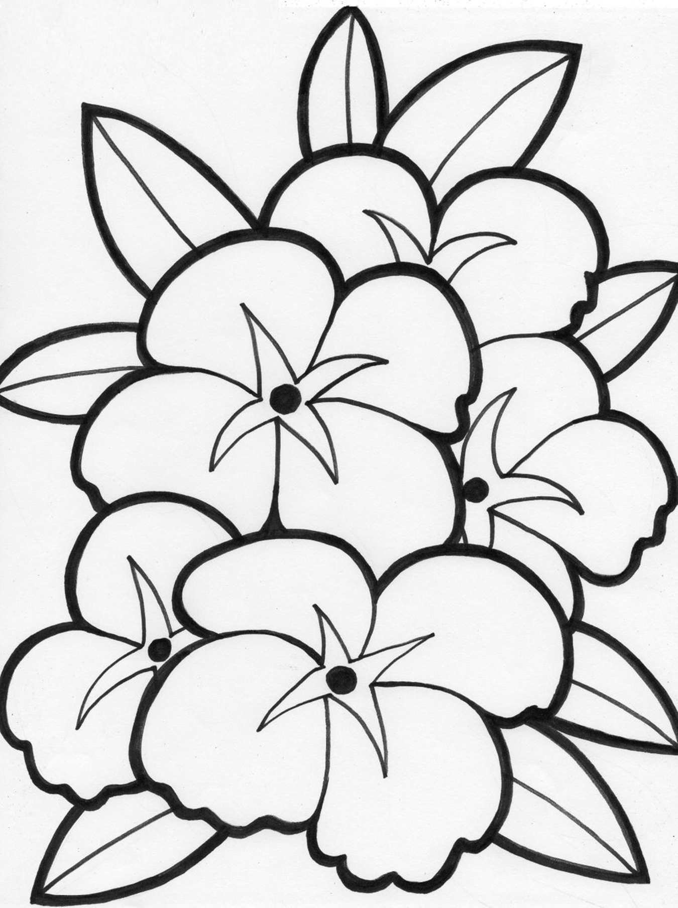 Free Printable Flowers