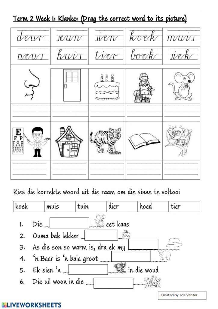 Grade 3 FAL Afrikaans Eu Oe Ie Ei Ou Klanke Worksheet