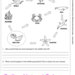Grade 6 Online Natural Science Worksheets Foodwebs For