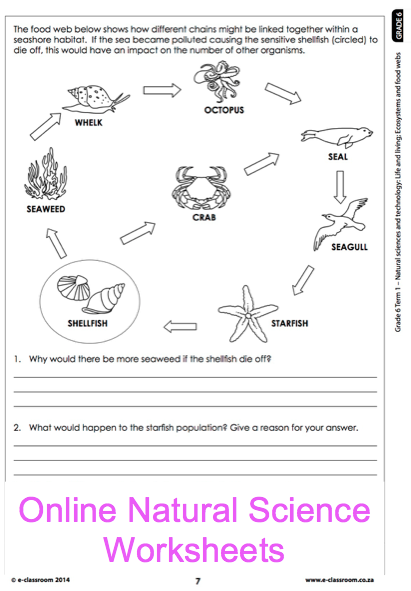 Science Worksheets For Grade 6