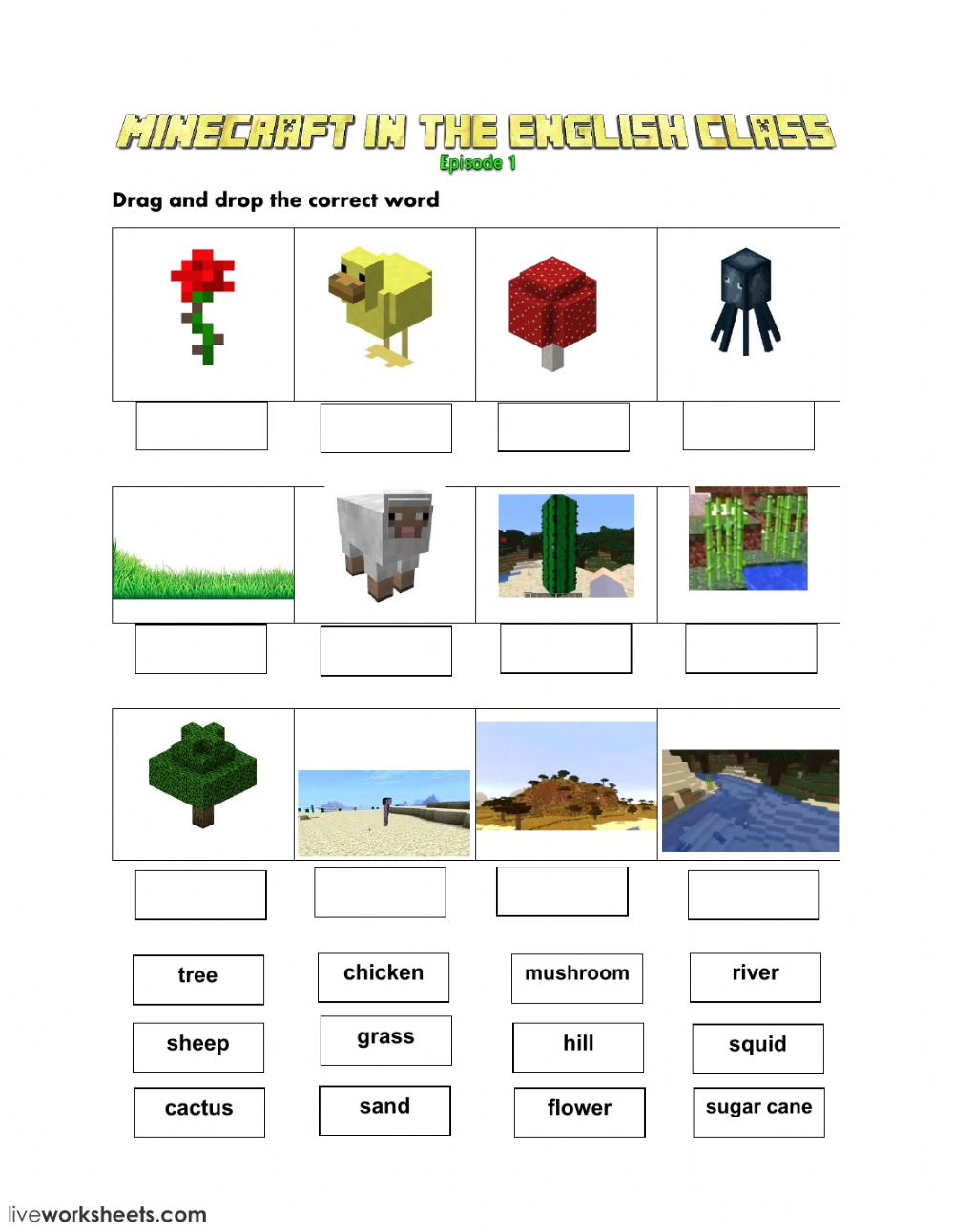 Minecraft Worksheets