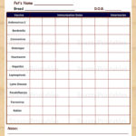 Pet Vaccination Records Printable Template Business PSD