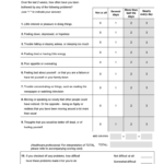 Phq 9 Fill Online Printable Fillable Blank PdfFiller