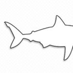 Printable Shark Outline Printable Treats
