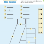 Slide Measure Math Worksheet For Grade 2 Free