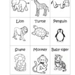 Zoo Animals Big Or Small Worksheet Free ESL Printable