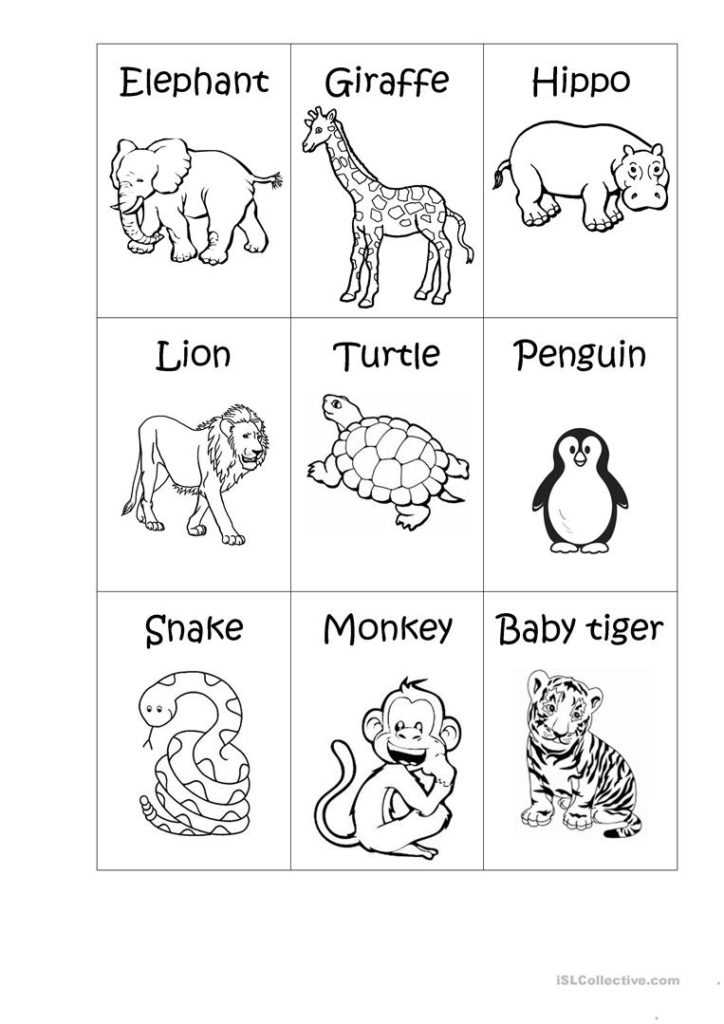 Zoo Animals Big Or Small Worksheet Free ESL Printable